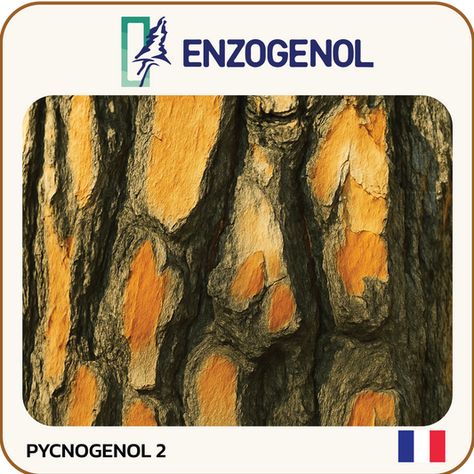 พิกโนจนอล (Pycnogenol)