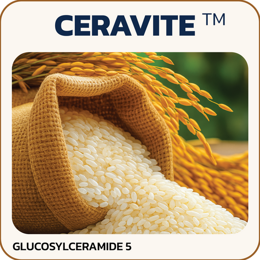 กลูโคซลเซราไมด์ (Glucosylceramide – Ceravite)